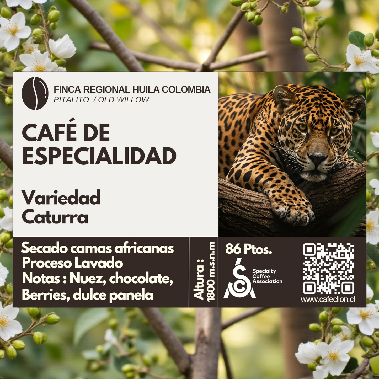 Pack Dúo Salvaje: Origen Brasil & Colombia | Red Bourbon & Caturra 250gr c/u