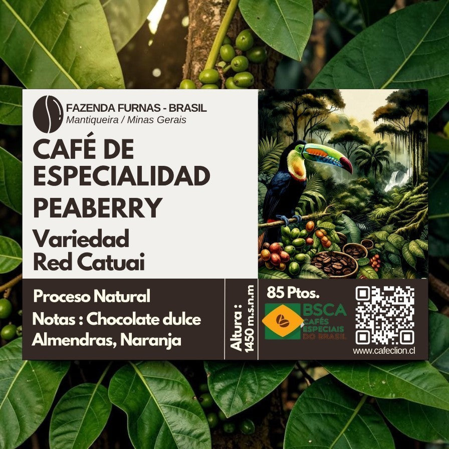 Café de Especialidad Origen Brasil, Variedad Peaberry - Red Catuai 85pts BSCA | 4kg Formato PYME