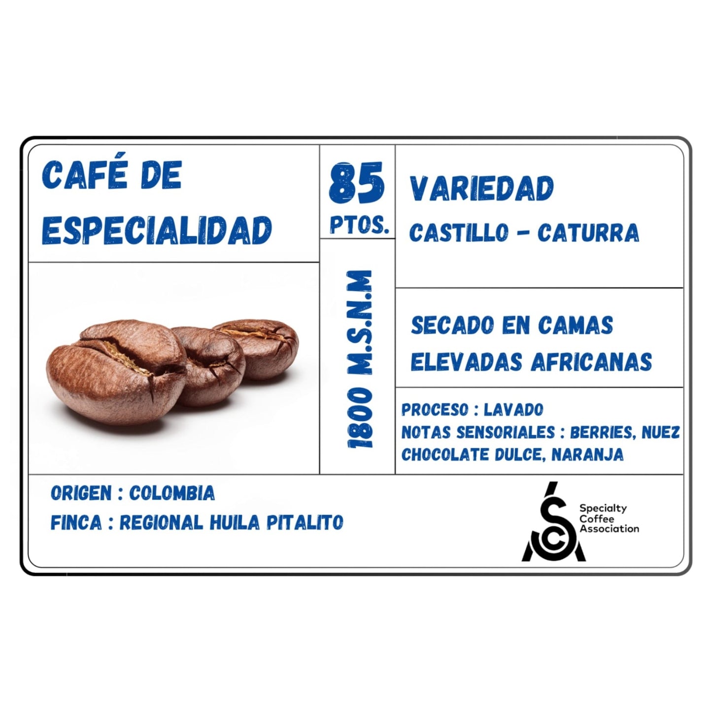 Café de Especialidad Origen Colombia - Pitalito Huila | Variedad Castillo Caturra