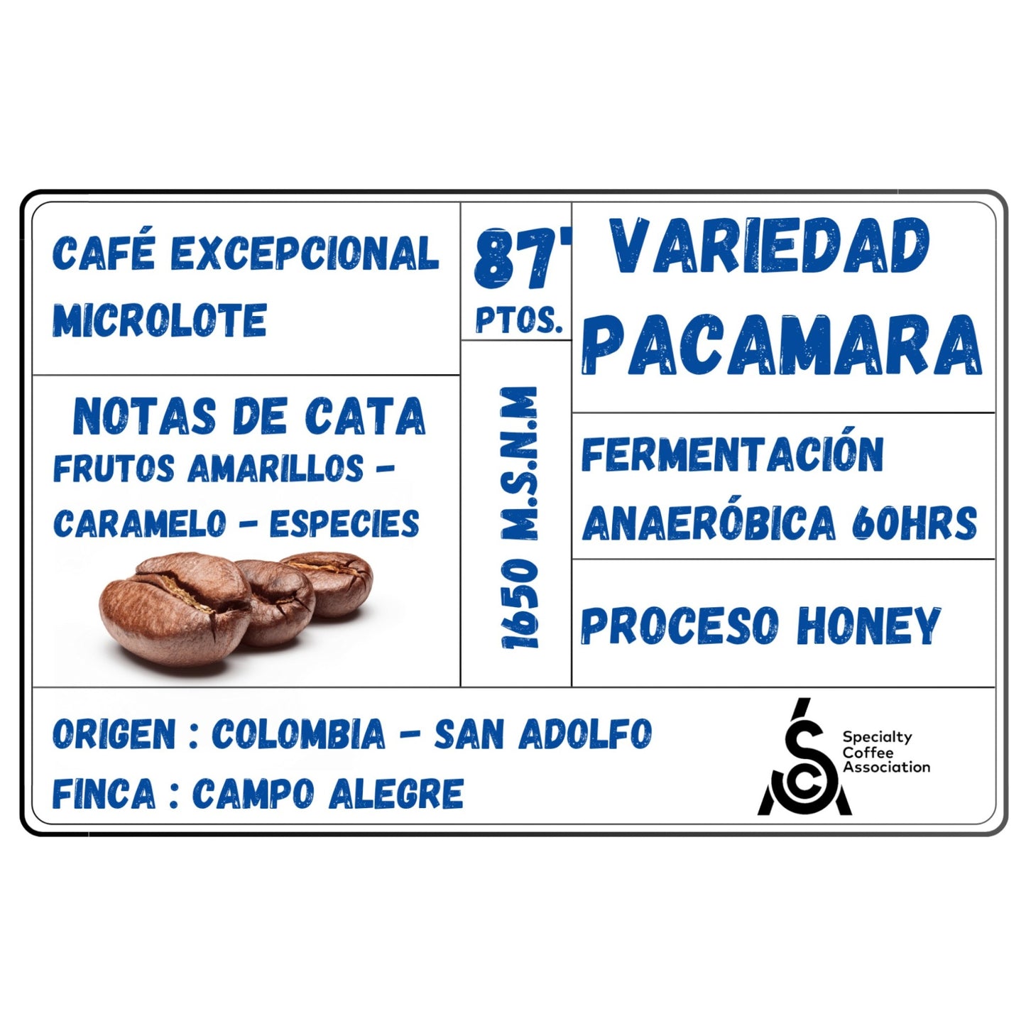 Café Excepcional Nanolote Origen Colombia | Variedad Pacamara Fermentado 60hrs