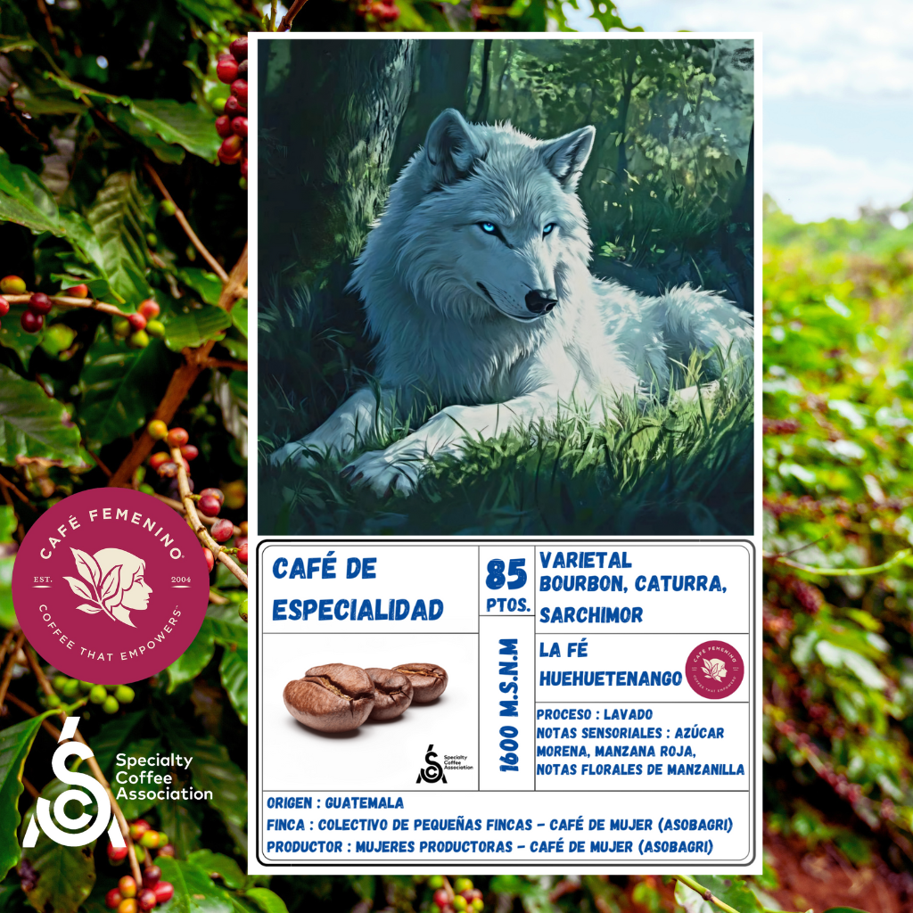 TriPack Dinamon: Origen Brasil - Guatemala - Colombia | Proceso Natural & Lavado 250gr c/u