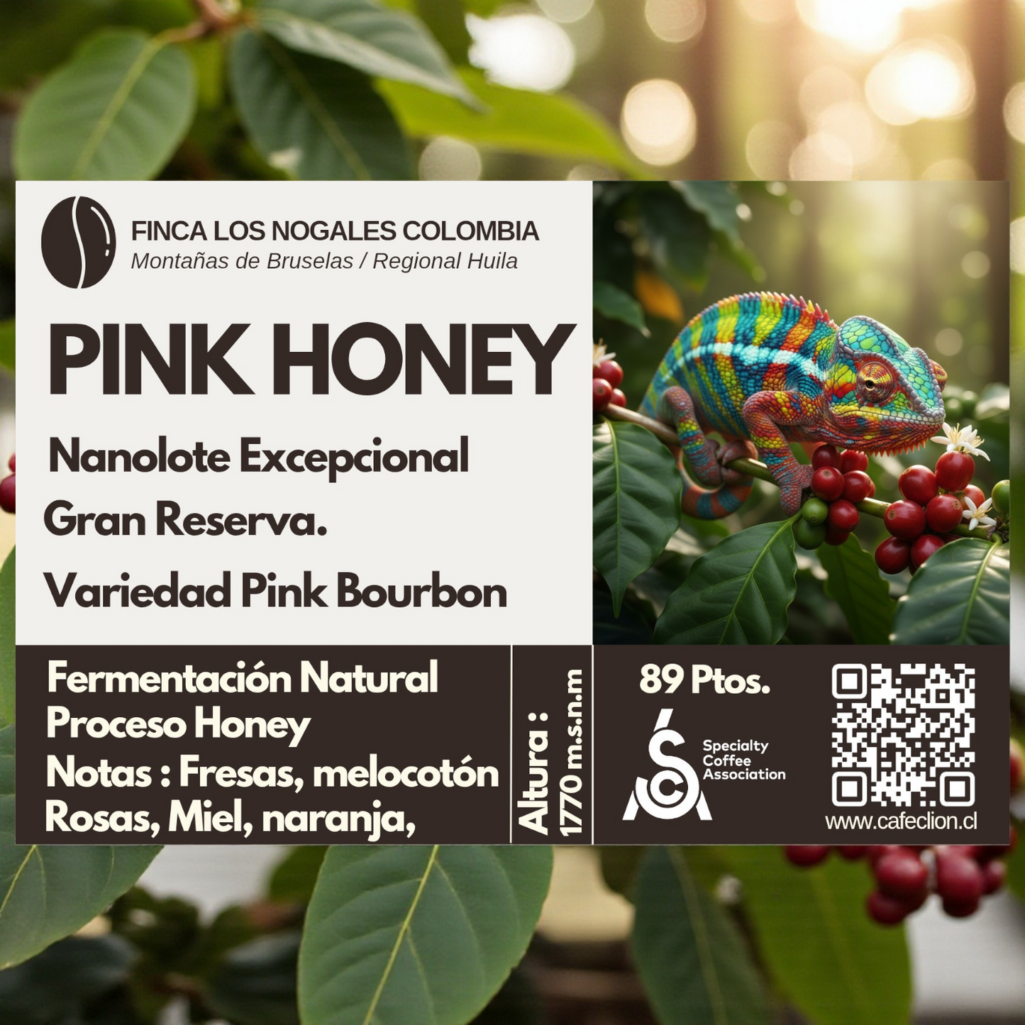 Pack Dúo Excepcional de Especialidad: Origen Colombia | Geisha Híbrido 91pts (125gr) & Pink Bourbon 89pts (250gr)
