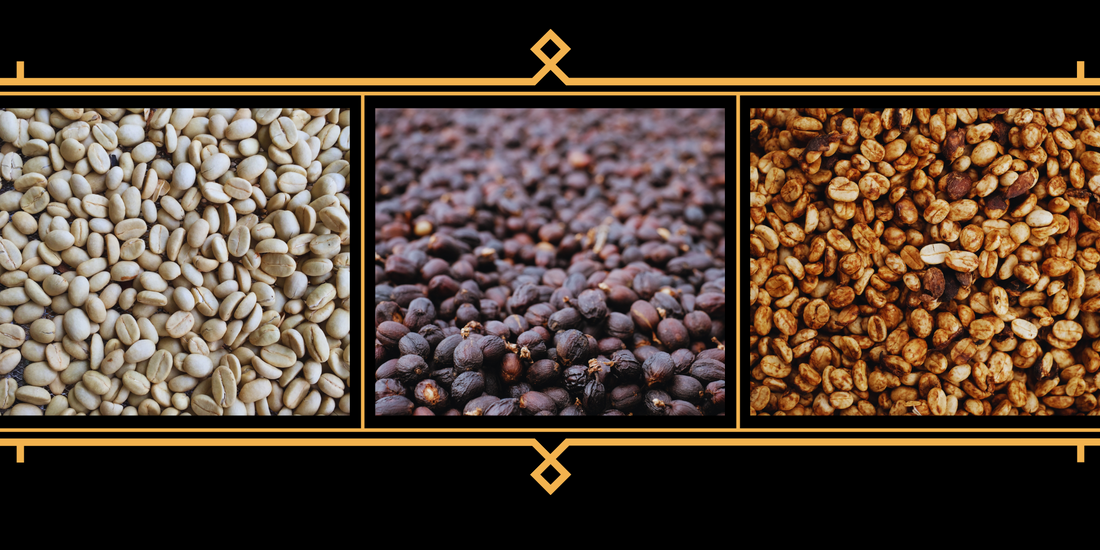 Más allá del grano: Descifrando los procesos del Café de Especialidad