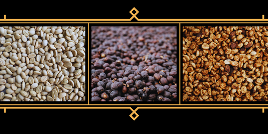 Más allá del grano: Descifrando los procesos del Café de Especialidad