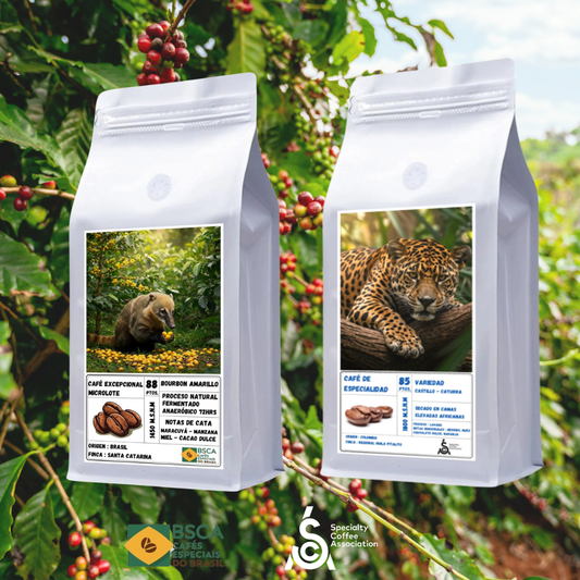 Pack Legado Indómito de Especialidad: Origen Colombia & Brasil | Variedad Castillo & Bourbon 250grs c/u