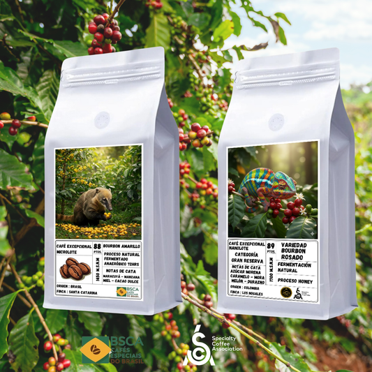 Pack Selección Fermentados: Origen Colombia & Brasil | Variedad Bourbon Amarillo & Rosado 250grs c/u