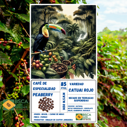 Pack de Especialidad "CoBra" - Origen Brasil & Colombia | Proceso Lavado & Natural  250gr c/u