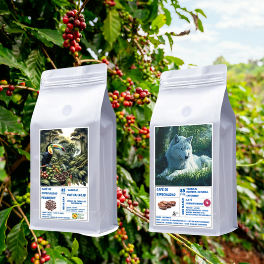 Pack de Especialidad "GuaBra" - Origen Brasil & Guatemala | Proceso Lavado & Natural  250gr c/u