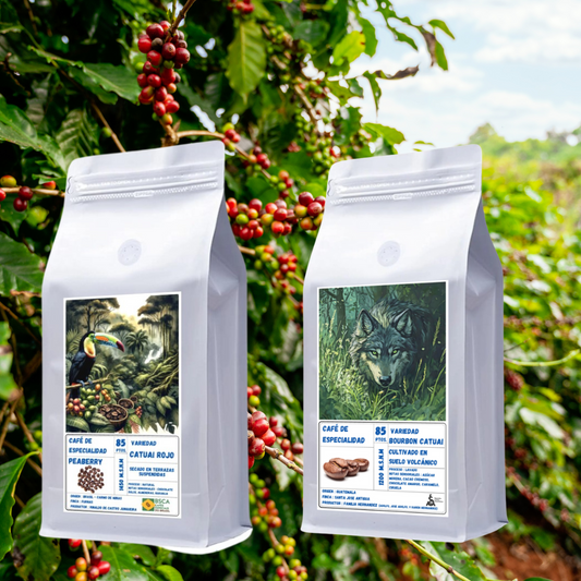 Pack de Especialidad "Catuai" - Origen Brasil & Guatemala | Proceso Lavado & Natural  250gr c/u