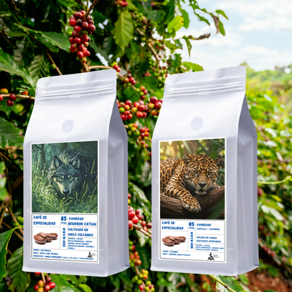 Pack de Especialidad - Origen Guatemala & Colombia | Proceso Lavado  250gr c/u