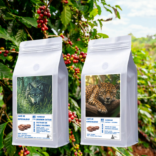 Pack de Especialidad - Origen Guatemala & Colombia | Proceso Lavado  250gr c/u