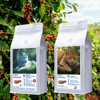 Pack de Especialidad "GuaCo" - Origen Guatemala & Colombia | Proceso Lavado  250gr c/u