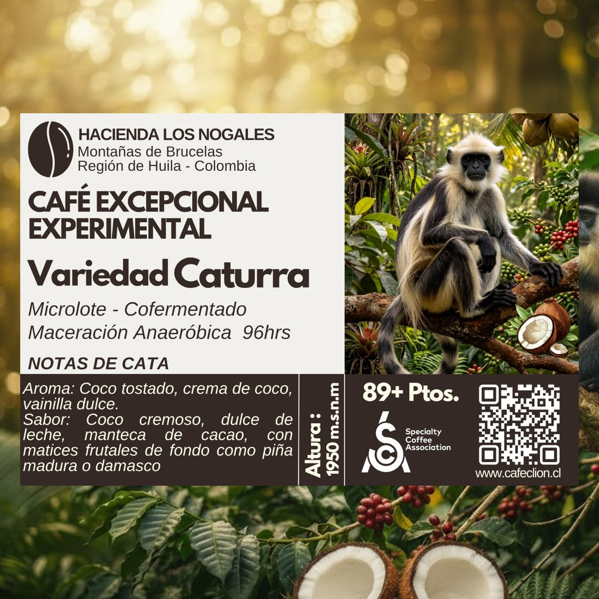 Café Excepcional Experimental - Microlote | Hacienda Los Nogales – Huila, Colombia | Variedad Caturra Cofermentado Anaeróbico 96hrs