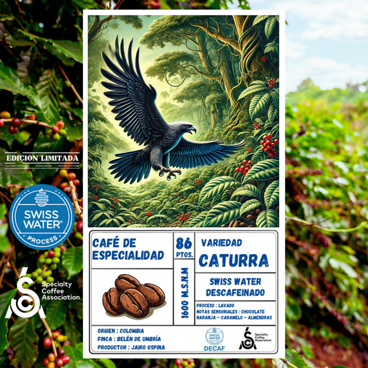 Café de Especialidad 99.9% Descafeinado - Proceso Swiss Water
