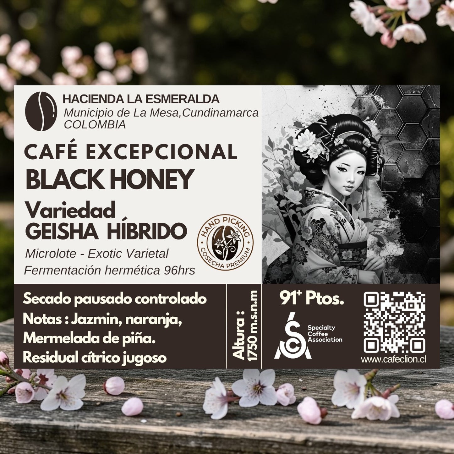 Pack de Especialidad "Huila & Esmeralda" – Origen Colombia | Exotic Varietal Geisha Híbrido 125gr & Pitalito Caturra 250gr