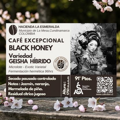 Tripack Excepcional Colombia | Variedades Pink Bourbon & Caturra 250gr c/u & Geisha Híbrido 125gr