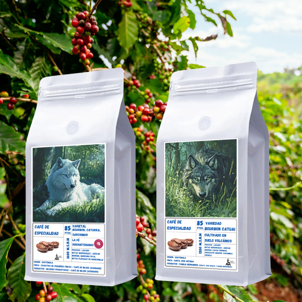 Pack de Especialidad Origen Guatemala  | Proceso Lavado  250gr c/u