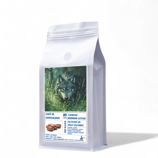 Café de Especialidad Origen Guatemala - San José Antigua | Variedad Bourbon Catuai