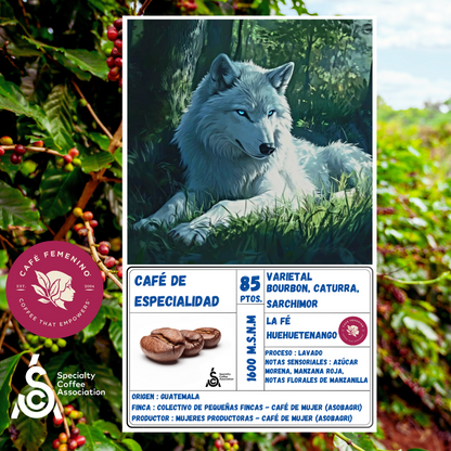 TriPack Dinamon: Origen Brasil - Guatemala - Colombia | Proceso Natural & Lavado  250gr c/u