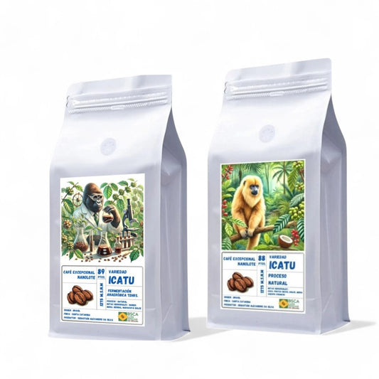 Pack BRAICATU - Origen Brasil | Nanolotes Fermentado & Natural Process 250g c/u