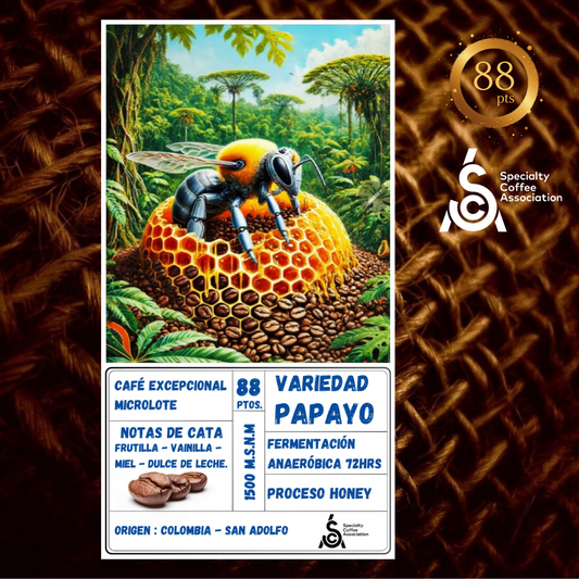 Café Excepcional Microlote Origen Colombia - San Adolfo | Variedad Papayo - Fermentado 72 hrs