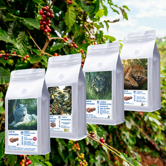 Pack Degustación Clíon -  4 Variedades | Proceso Natural & Lavado  250gr c/u
