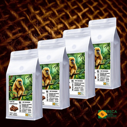 Brasil Red Bourbon 4kg - Café de Especialidad 86pts | Formato PYME