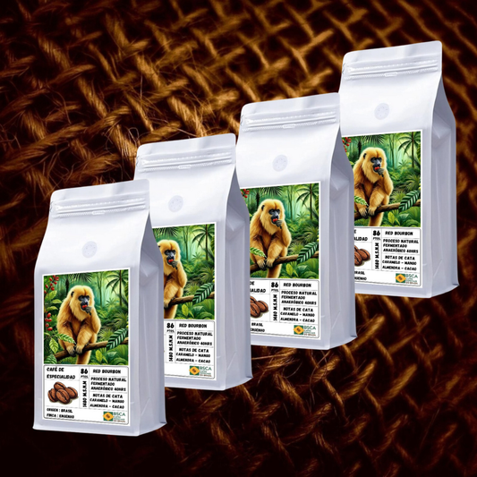 Brasil Red Bourbon 4kg - Café de Especialidad 86pts | Formato PYME