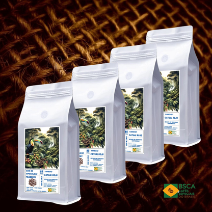 Brasil Red Catuai Peaberry 4kg - Café de Especialidad 85pts | Formato PYME