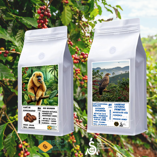 Pack Legado Indómito de Especialidad: Origen Colombia & Brasil | Variedad Red Bourbon & Equilibrum 250grs c/u