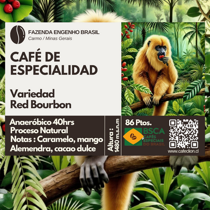 Tripack Fauna Salvaje: Colombia, Brasil & Perú | Caturra · Caturra Catuai ·  Red Bourbon — 250gr c/u