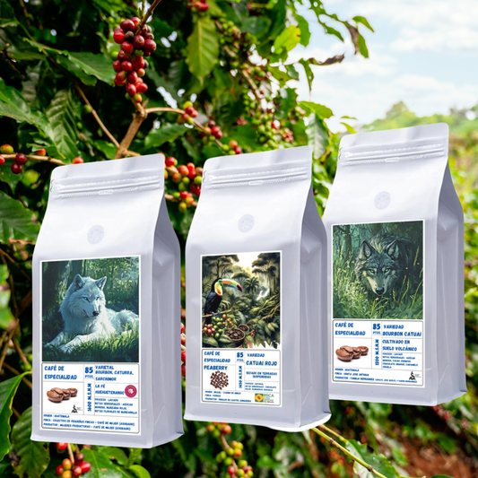 Trilogía de Especialidad - Origen Brasil & Guatemala | Proceso Natural & Lavado 250gr c/u