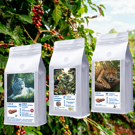 TriPack Dinamon: Origen Brasil - Guatemala - Colombia | Proceso Natural & Lavado  250gr c/u
