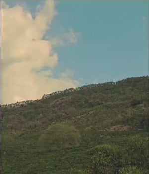 Cargar video: 