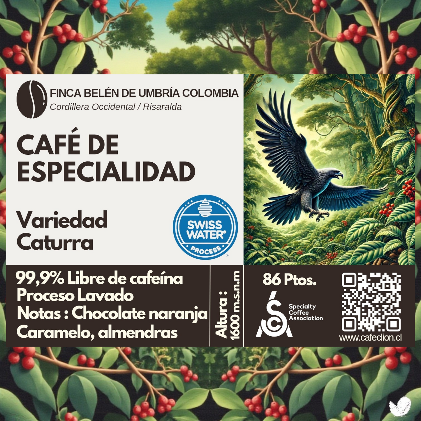 Café de Especialidad 99.9% Descafeinado - Proceso Swiss Water