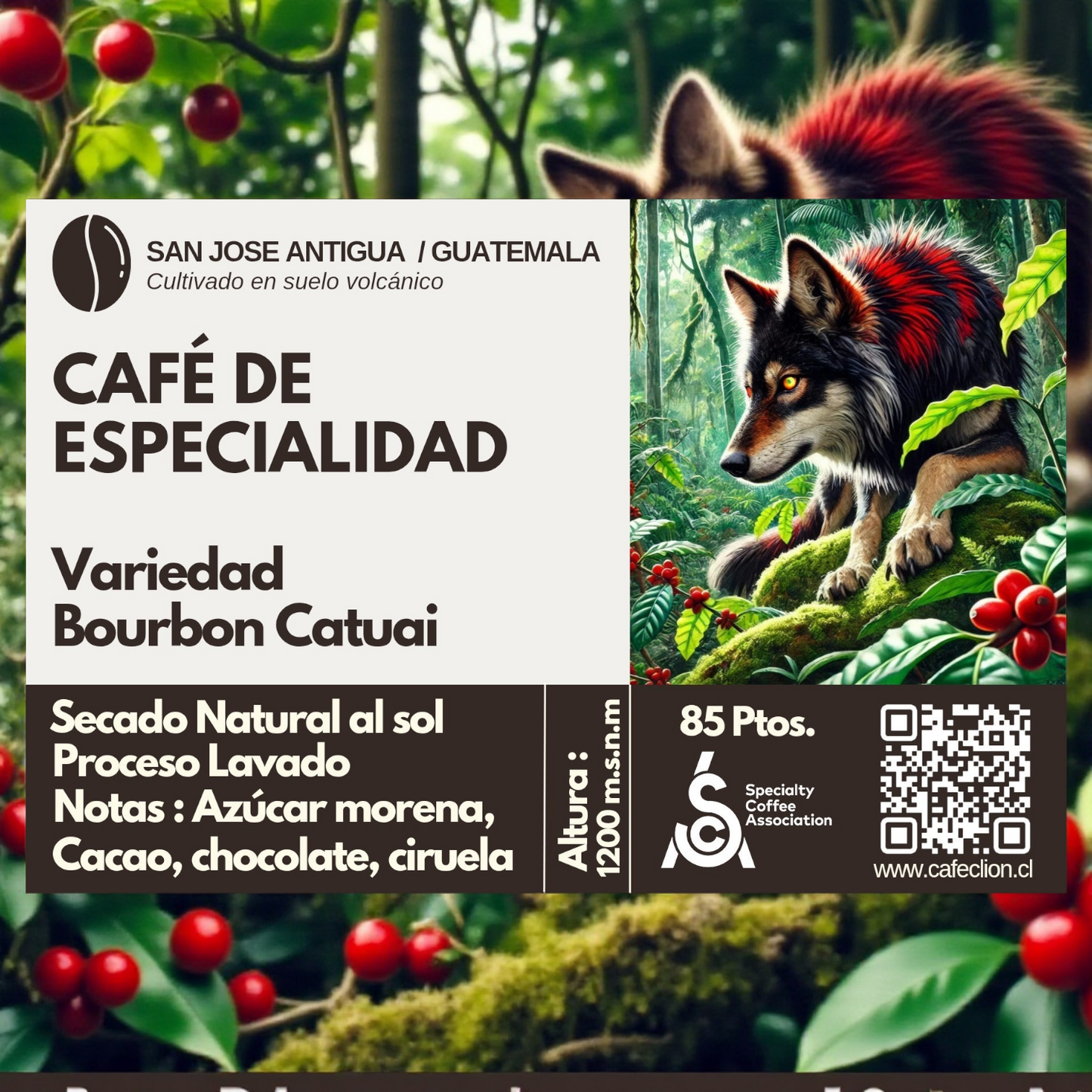 Tripack Fauna Salvaje: Colombia, Brasil & Guatemala | Caturra · Red Bourbon · Bourbon Catuai — 250gr c/u