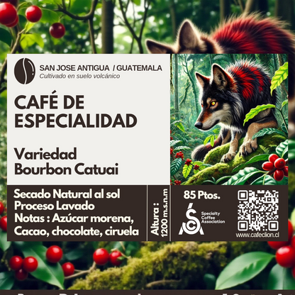 Tripack Fauna Salvaje: Colombia, Brasil & Guatemala | Caturra · Red Bourbon · Bourbon Catuai — 250gr c/u