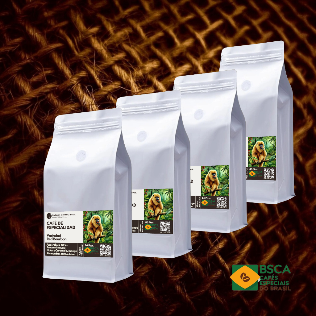 Brasil Red Bourbon 4kg - Café de Especialidad 86pts | Formato PYME