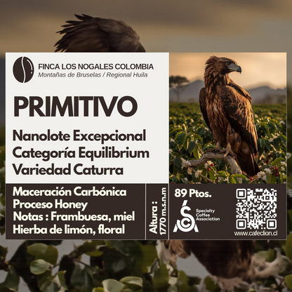 Café Excepcional Nanolote Origen Colombia  | Variedad Caturra Primitivo - Equilibrium