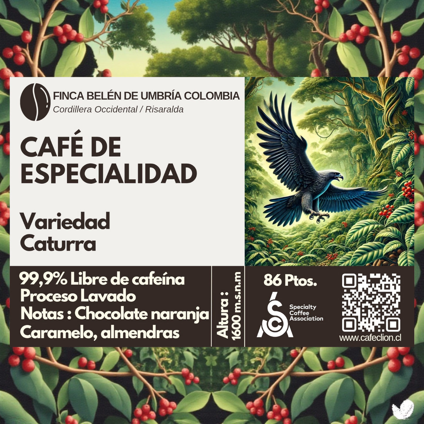 Café de Especialidad 99.9% Descafeinado - Proceso Swiss Water