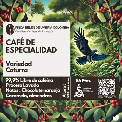 Café de Especialidad 99.9% Descafeinado - Proceso Swiss Water