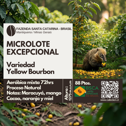 Pack de Especialidad "Jaguatí" | Microlote Variedad Caturra (Colombia) & Yellow Bourbon (Brasil) 250gr c/u