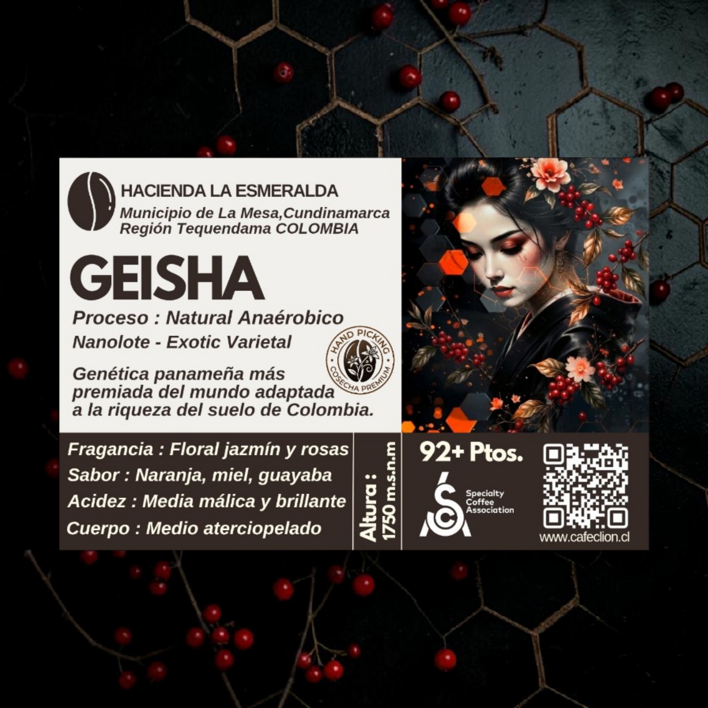 Café Excepcional Natural Anaeróbico – Variedad Geisha 'Exotic Varietal' Nanolote 92+ Ptos